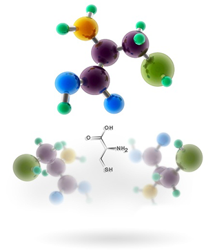 Protein Chemical Molecules Protein Chemical Molecules